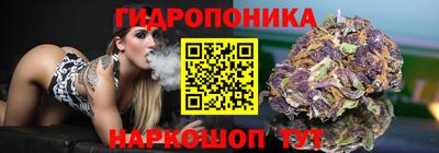 сатива Кунгур