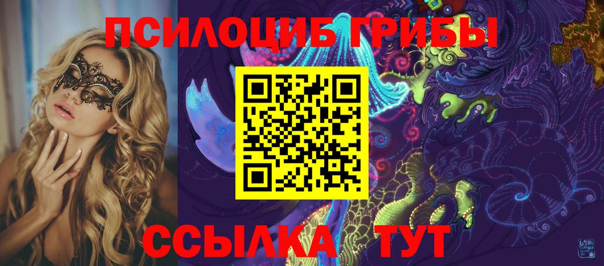Урюпинск  Галлюциногенные грибы мухоморы  Псилоцибиновые грибы Psilocybine cubensis  Вход с VPN 